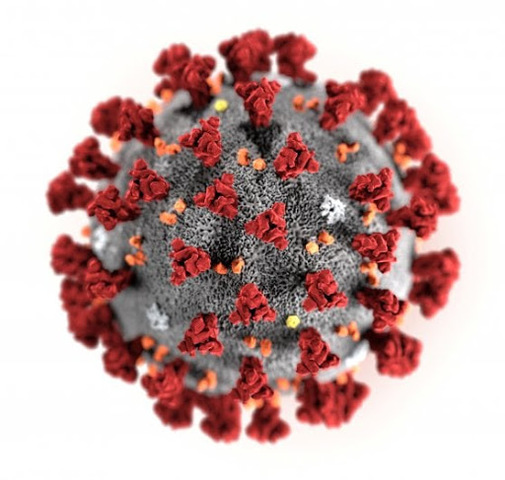 Coronavirus - Covid 19 - La situazione ad Angri - Bollettino del 26-04-2020