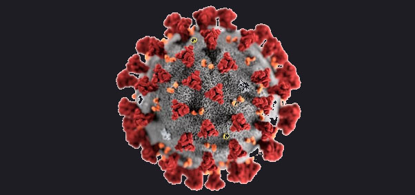 coronavirus_logo