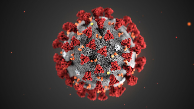 Coronavirus - La situazione ad Angri - Bollettino del 22 maggip 2020