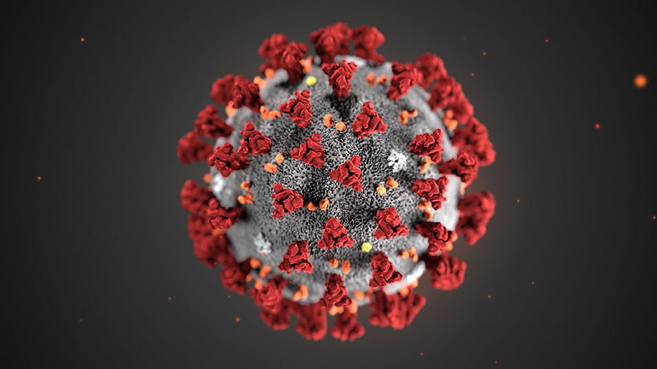 virus-cdc