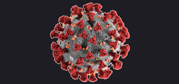 Coronavirus - Covid 19 - La situazione ad Angri - Bollettino del 2-06-2020