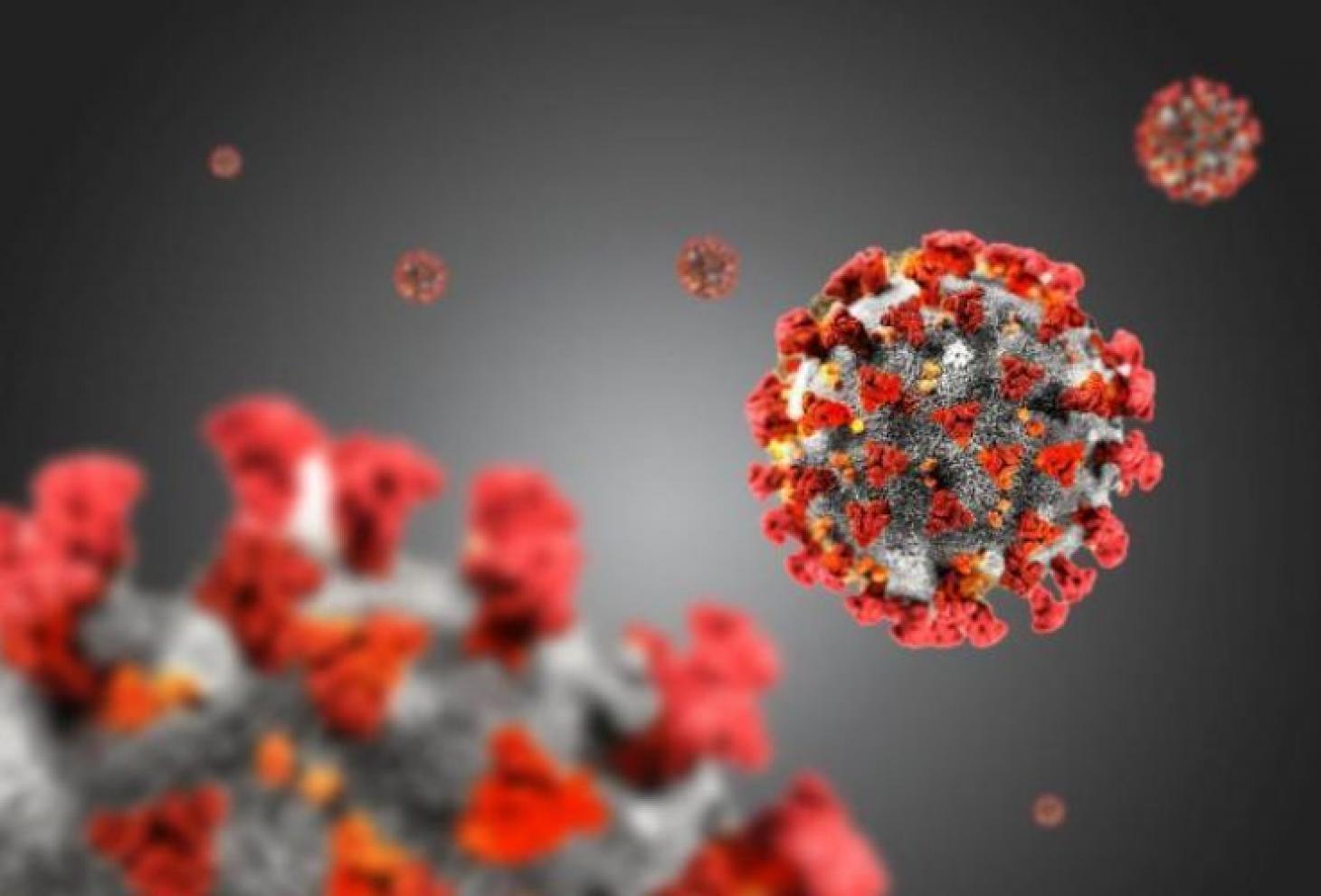 Coronavirus Covid-19 - La situazione ad Angri del 14 luglio 2020