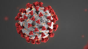 Coronavirus Covid-19 - La situazione ad Angri del 14 agosto 2020